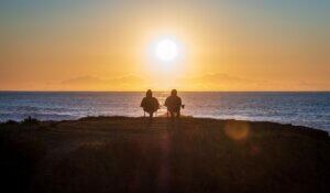The silhouettes of two people sitting in chairs overlooking the sea watching a sunrise or sunset